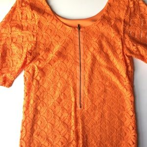 Lace Overlay Short Sleeve Shift Dress